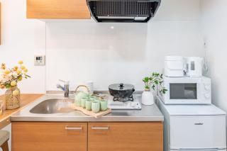 Shin Okubo five minutes, brand new mansion, Kabukicho walk - Tokyo - 1