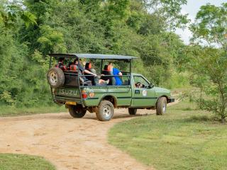 Wilpattu Entrance - Safari Lodge - 8