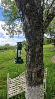 Tiny Nest - 5
