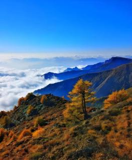 Vienna Hotel Shaanxi Xiianyang Yangling South Station - Yangling - 6
