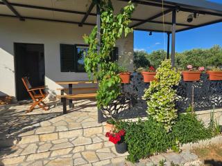 Green house - Dograde - 3