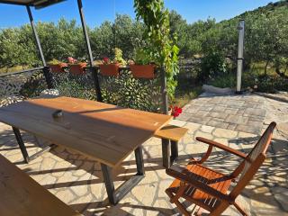 Green house - Dograde - 4