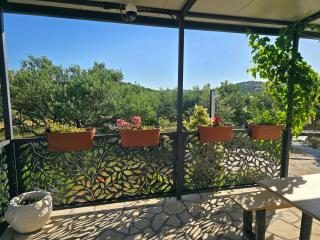 Green house - Dograde - 7
