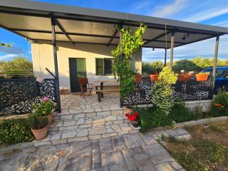 Green house - Dograde - 6