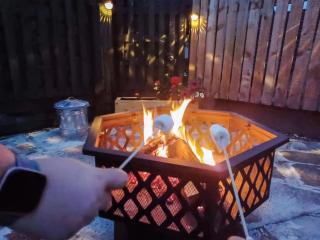 Holly Cottage - Palnackie - 7