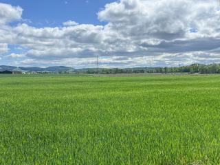 Greenacres - Perth - 1