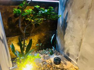SIDOU INN - Onomichi - 5