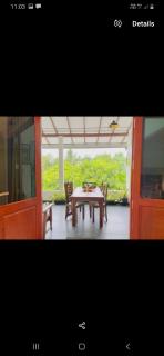 Mango Lodge homestay - Beruwala - 3
