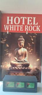 Hotel White Rock And Restaurant - Zirakpur - 8