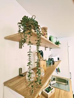 Altstadt INsel - workaction - free parking - Audi - Balkon - Aufzug - 6