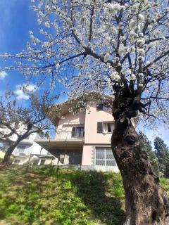 Valtellinda - Bianzone - 9