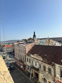 3х кімнатні апартаменти на Франка 1 - Chernivtsi - 5
