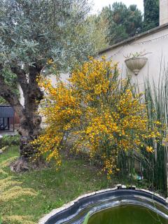 Appartement avec jardin - Bègles - 8