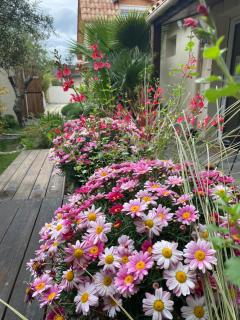 Appartement avec jardin - Bègles - 9