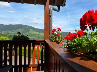Les hauts du Schliffels - Fellering - 6