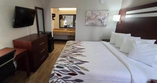 Red Roof Inn Florence, SC - 4