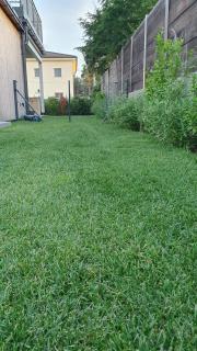 VARIO-HAUS Residence - - 6