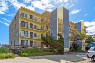 DL303 Herpy Oceanfront - Nags Head - 9