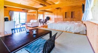 South Aso and Relaxing Spa Resort Hotel Greenpia Minamiaso - Aso - 1