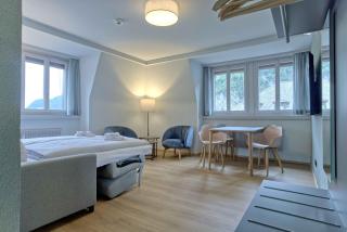 BANK House Apartment XL 403 - GRIWA RENT - Interlaken - 8