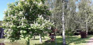 Vēl tuvāk dabai - 9