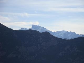 Fior di Macchia - 3