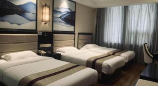 GreenTree Alliance Hotel Dezhou Ningjin County Zhengyang Road Debai Plaza - Dezhou - 2
