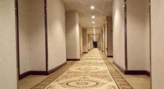 Vienna Hotel Shenzhen Pinghu Shuangyong Street Metro Station - Tiantangwei - 7