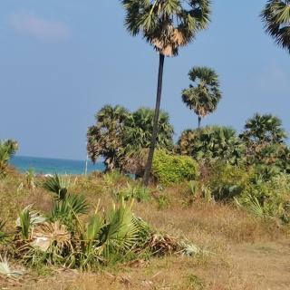 Beach life long beach resort - Trincomalee - 3