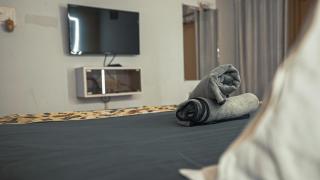 10 Ideal Luxury Stay AC 2BHK - 4