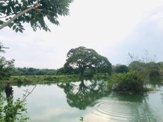 Soluna Eco Stay - Tangalle - 5