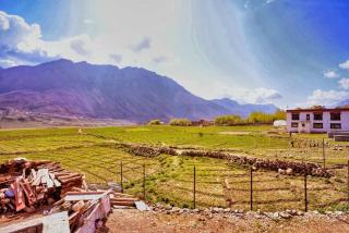 Spiti Oasis - Kibar - 7