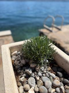 Zo-Mi Apartments - Tivat - 8