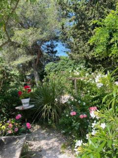 Le mazet en été en garrigue nimoise - Nîmes - 1