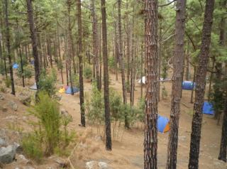 Camping Discovery Tenerife - San Miguel de Abona - 0