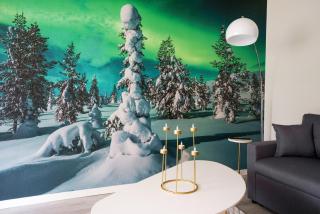 Aurora Night Stay in Rovaniemi - Rovaniemi - 3