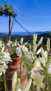 Appartamento il Giardino - Carignano - 2