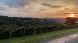 Maison Tournesol Massages Pau Jurançon - 1