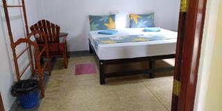 Jungle Coconut View - Talpe - 7