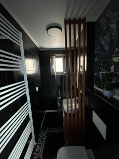 Luxury Apartment - Topliţa - 2