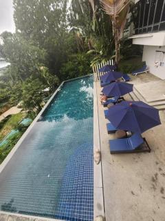 Veloche Karon palm - Phuket - 1