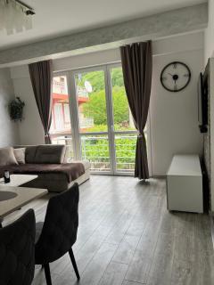 Apartman Misovic 2 - Zelenika - 3