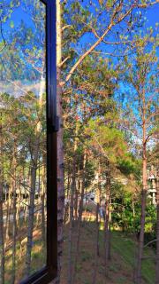XTSY Luxury - Shillong - 1