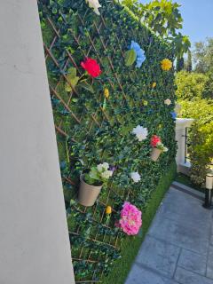Villa Theo Corfu - 5