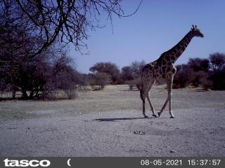 Hippo Farm Apartment - Gobabis - 7
