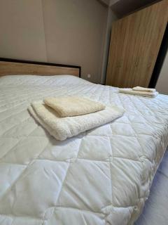 Cozy Corner Bitola Apartment - Bitola - 6