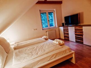 Villa Waldblick - Wagerberg - 5