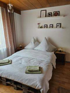 House Tinz - Cozy cottage in a quiet location - Heilbronn - 9