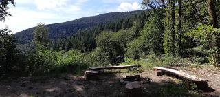 Cabane Chalet isolé en pleine forêt - Lespinassière - 8