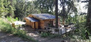 Cabane Chalet isolé en pleine forêt - Lespinassière - 5